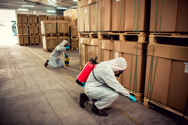 Best Bed Bug Extermination  in Nemacolin, PA