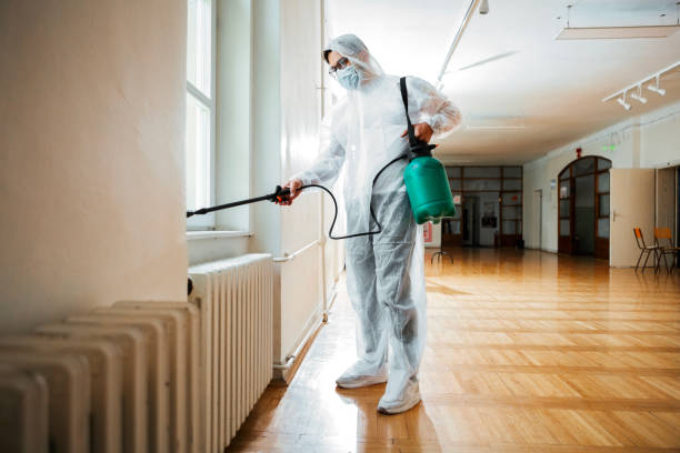 Wasp Removal Services in Nemacolin, PA