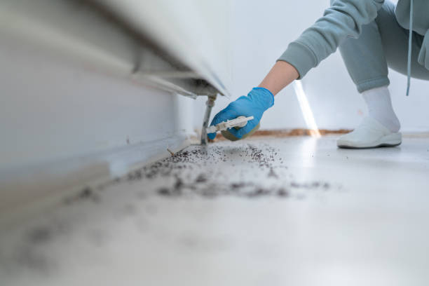 Best Residential Pest Control  in Nemacolin, PA